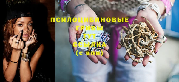 мдпв Ветлуга