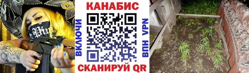 где купить   мориарти какой сайт  Шишки марихуана THC 21%  Истра  кракен зеркало 